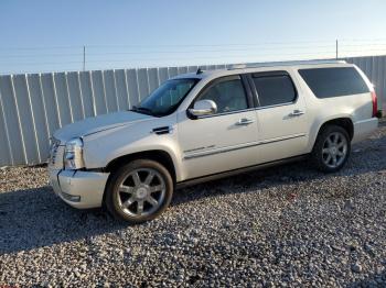  Salvage Cadillac Escalade