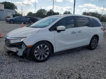  Salvage Honda Odyssey