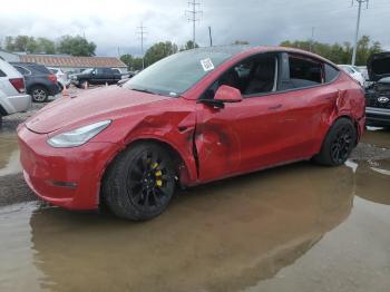  Salvage Tesla Model Y