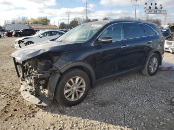  Salvage Kia Sorento