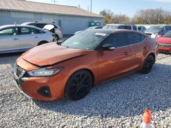  Salvage Nissan Maxima