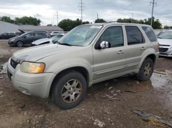  Salvage Ford Escape