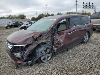  Salvage Honda Odyssey