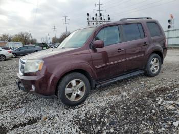  Salvage Honda Pilot