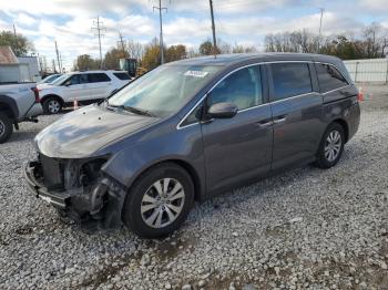  Salvage Honda Odyssey