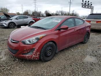  Salvage Hyundai ELANTRA