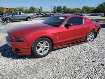  Salvage Ford Mustang