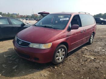  Salvage Honda Odyssey