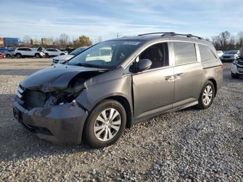  Salvage Honda Odyssey