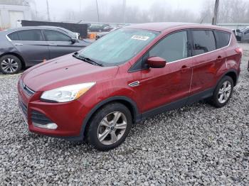  Salvage Ford Escape