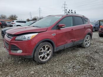  Salvage Ford Escape