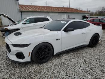  Salvage Ford Mustang