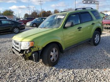  Salvage Ford Escape