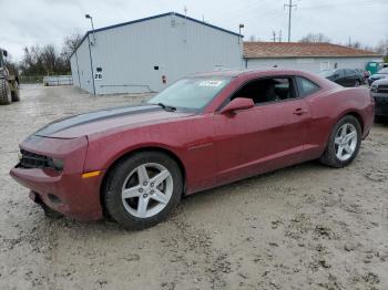  Salvage Chevrolet Camaro