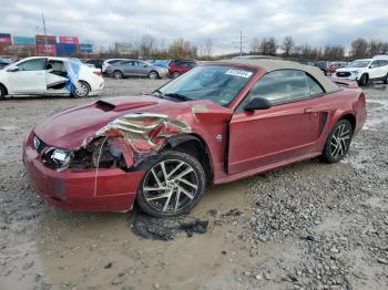  Salvage Ford Mustang