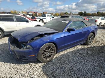  Salvage Ford Mustang