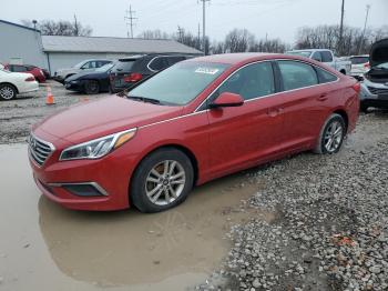  Salvage Hyundai SONATA