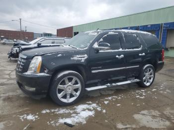  Salvage Cadillac Escalade