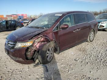  Salvage Honda Odyssey