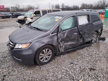  Salvage Honda Odyssey