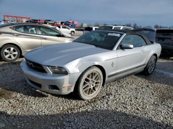  Salvage Ford Mustang