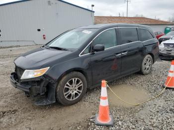  Salvage Honda Odyssey