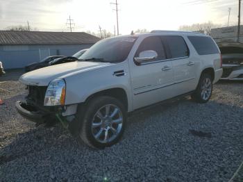  Salvage Cadillac Escalade