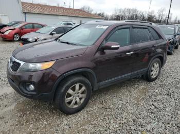  Salvage Kia Sorento