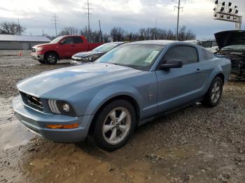  Salvage Ford Mustang