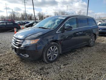  Salvage Honda Odyssey