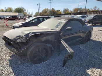  Salvage Ford Mustang