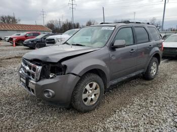  Salvage Ford Escape