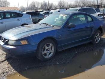  Salvage Ford Mustang