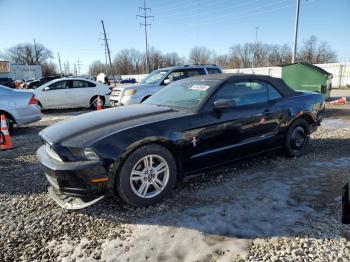  Salvage Ford Mustang