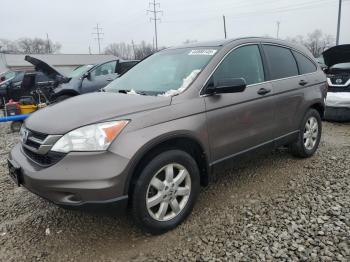  Salvage Honda Crv