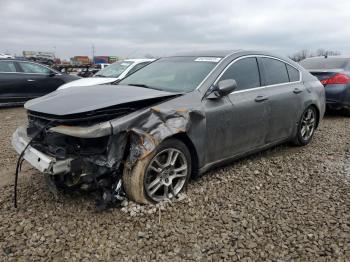  Salvage Acura TL