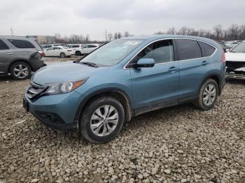  Salvage Honda Crv