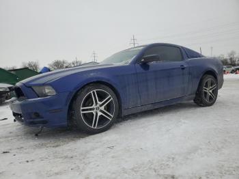  Salvage Ford Mustang