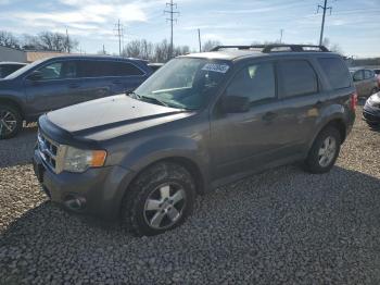  Salvage Ford Escape