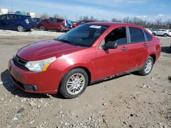  Salvage Ford Focus