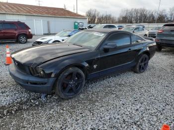  Salvage Ford Mustang