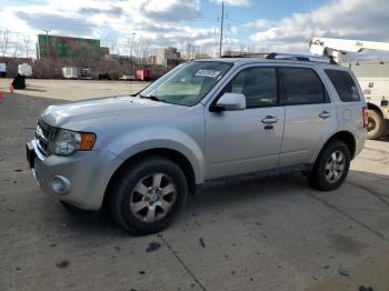  Salvage Ford Escape