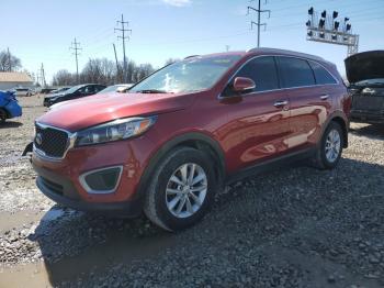  Salvage Kia Sorento