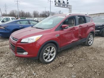  Salvage Ford Escape