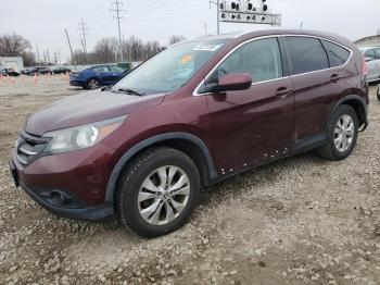  Salvage Honda Crv