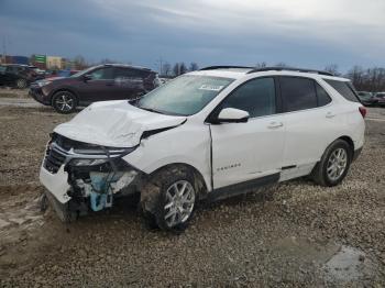  Salvage Chevrolet Equinox