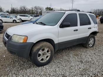 Salvage Ford Escape