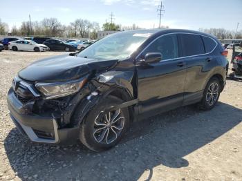 Salvage Honda Crv