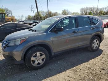  Salvage Honda Crv