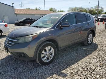  Salvage Honda Crv